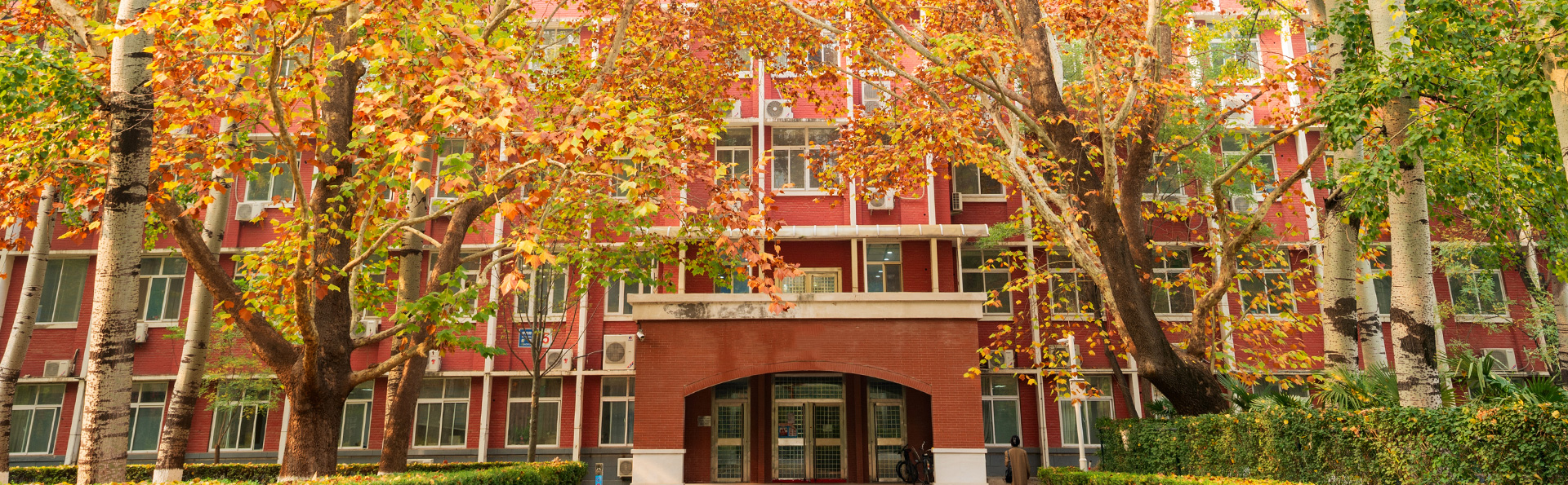 北京语言大学校园秋景