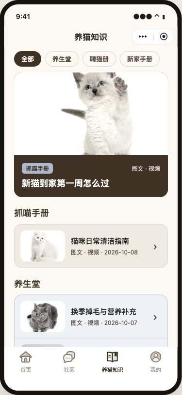 被抓住了喵 养猫知识原型